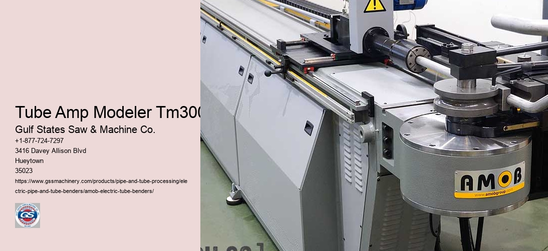 Tube Amp Modeler Tm300